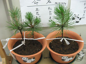 左:立花兄弟 右:直樹