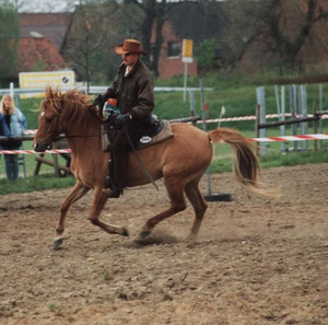 Gessi, Hagenburg 1991