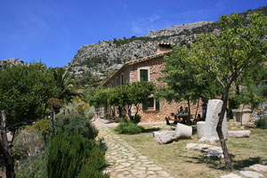 Fincas