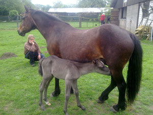 Am 09.05.2012 ist Bajou wieder stolze Mama geworden!