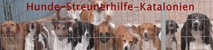 http://www.hunde-streunerhilfe-katalonien.de/