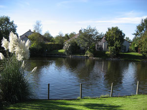 Blick zum Teich