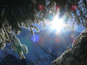 Foto: Tresch Peter (Mitarbeiter)