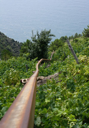 Cinque Terre - Aufzug