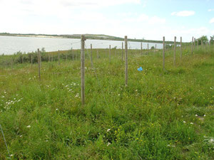 Bick in Richtung See