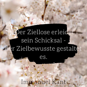 infinitas-wiesbadens Webseite!