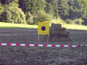 Die spanische "Diane" im Eiszeitpark  Engen 2010, wurde nicht geschont.