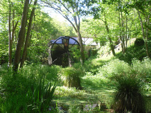 L'étang près du moulin