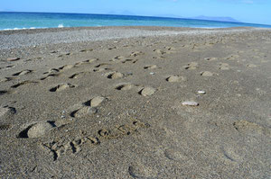 spiaggia sotto stazione