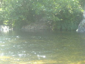Rivière en bas du mas