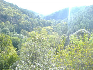 vue de la chambre 