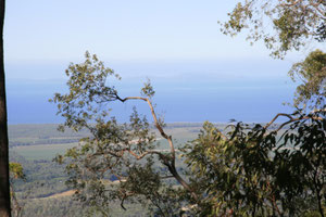 Aussicht im Paluma NP