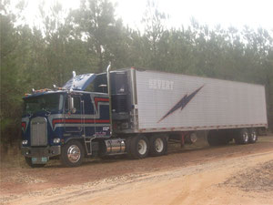 camion trailer con caja seca de 48 pies