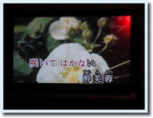 最近 どうにもこうにも 演歌好き