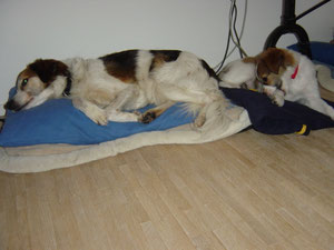 Derlin und Ajasca