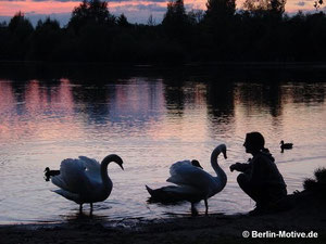 berlin-motive.de Spektesee