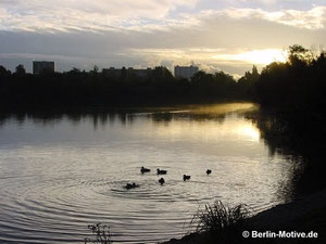 berlin-motive.de Spektesee