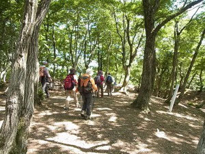 玄蕃尾城跡は整備され、気持ちの良い城跡です