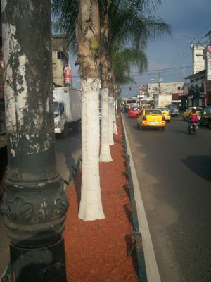 QUEVEDO ECUADOR