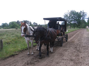 "Unser" Kutschenteam