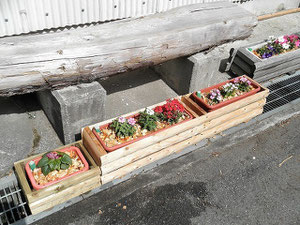 昔はこんなんだったのに