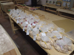 大量生産中!!