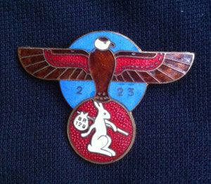Insigne du Guyenne d'Esquilat collection Vincent Lemaire
