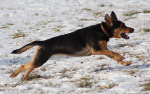 Jessy, immer sportlich