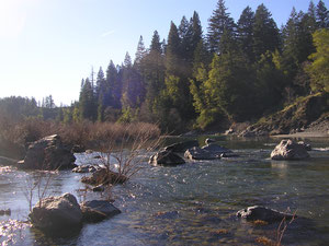 Quietude en bord de riviere.