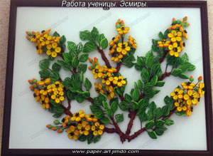 Работа Эсмиры.