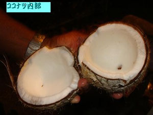 Coconut shell and flesh