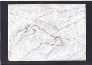 "Poggio Spicchio" 2002 disegno a penna su carta 18,75x25. 
