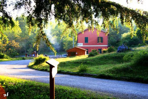 CEAs DI MOLITERNO "Bosco Faggeto"