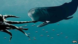 Sperm whales are believed to do battle with colossal squid, though such a fight has not been observed
