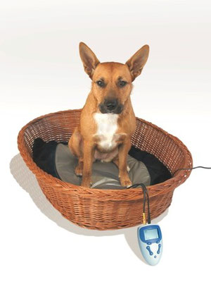 MAGmobil Pet magnetfeld