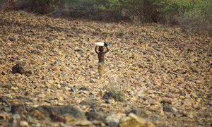 Bambina Turkana trasporta acqua