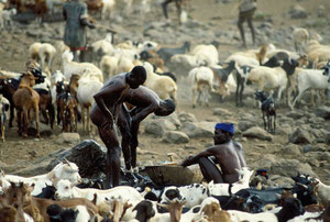 Pastori Turkana si lavano ad un pozzo