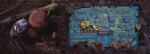 Audrey Nervi. ACT14: dung beetle on microcity - Morocco / Hungary, 2011, huile sur toile, 20 x 55 cm.