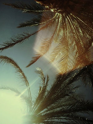 http://pinterest.com/pin/2744449744818040/