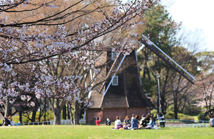 ↑写真は名城公園北園のオランダ風車と桜