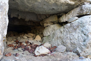 裏下門周辺　石が抜け落ちたか、または水路らしい箇所の内部　石が奥まで積まれている