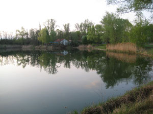 Bahnweiher mit Fischerhütte