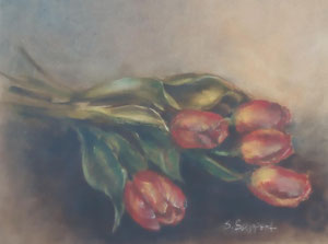 Tulpen