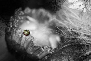 My secret crystall ball - Meine gheimnisvolle Kristallkugel