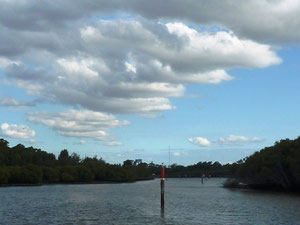 ... und am Spätnachmittag den Parramatta-River rauf