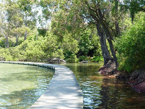 Merimbula Boardwalk