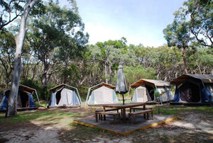 unser Camp auf Fraser Island