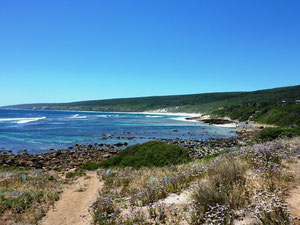 Der Strand am Cape Naturaliste in Yallingup (= Place of Love)