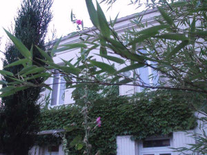 Façade côté jardin
