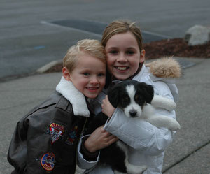 Pet Stop can help keep your pet safe at home once you bring them home.